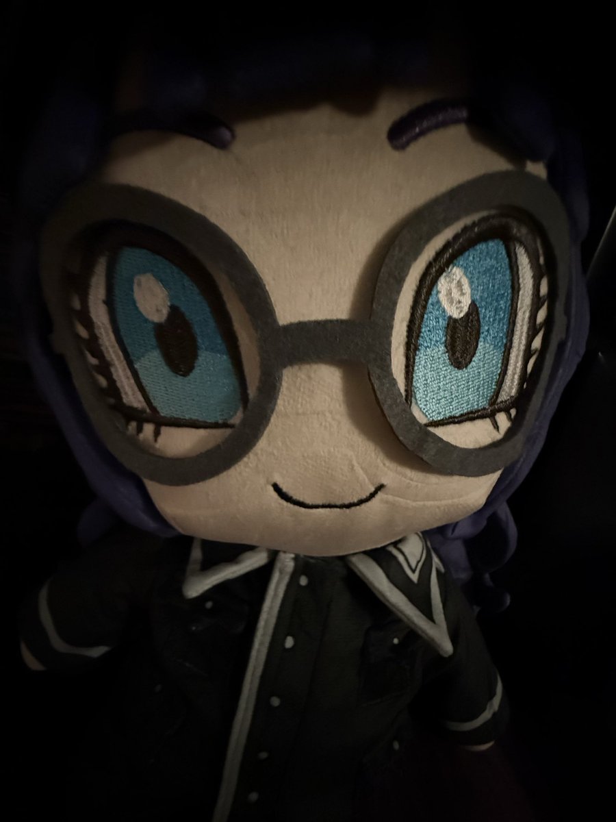 Echo tweet media