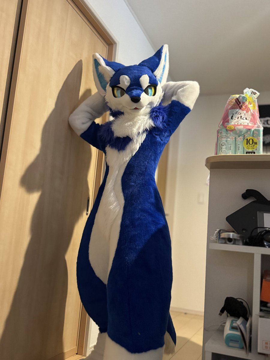 taigenfolf's tweet photo. RT @Vikara_Dog: KBRのポーズ

📸(@Vikara_Dog) https://t.co/yp0w51zh7j
