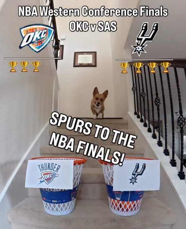 San Antonio Spurs tweet media