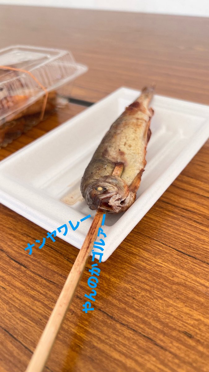 windowcham's tweet photo. さっきからこの方がメンチ切ってきますねん。 https://t.co/6I5HOGzfWy