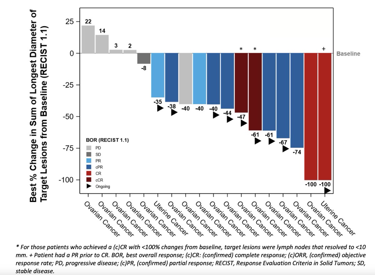 tomsilver39's tweet photo. $IMTX #asco26 Good Data: ORR: 63% (12/19)
Confirmed ORR: 50% (9/18)
4 complete responses (CRs) (2 confirmed, 2 unconfirmed)
Tumor shrinkage in 78% (14/18)
For refractory ovarian cancer, seeing complete responses at all is notable. https://t.co/neIYEobC1Q