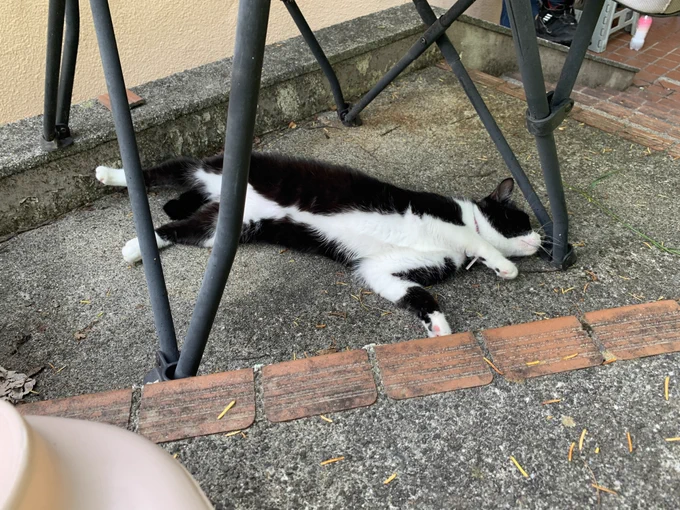 あちーからね