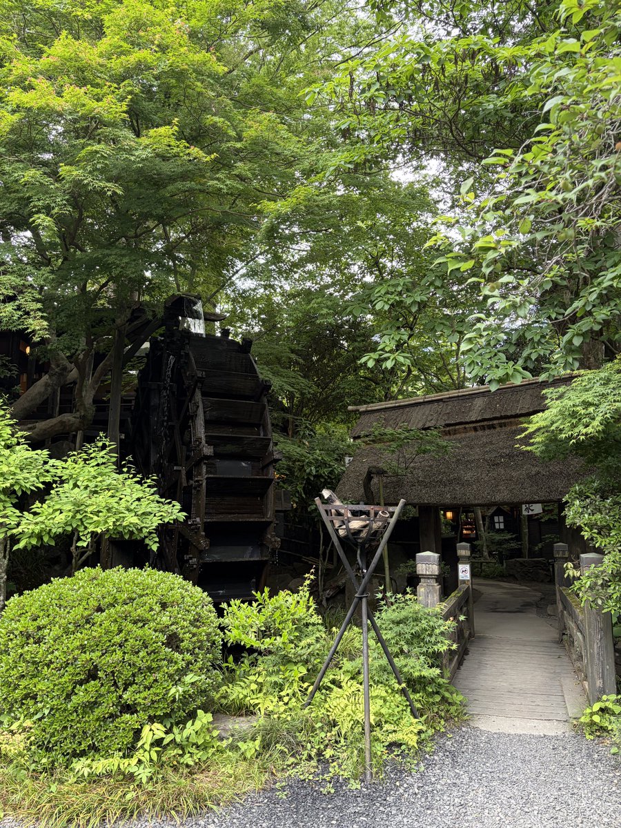 s2ln4's tweet photo. 🌿 https://t.co/JHcdvzWioq