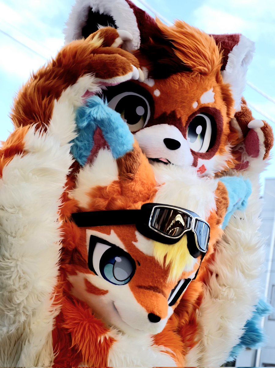 Annie_1004_Xeon's tweet photo. せいらく！！！！！！！！
 #FursuitEveryday https://t.co/XxhHEl7gMe