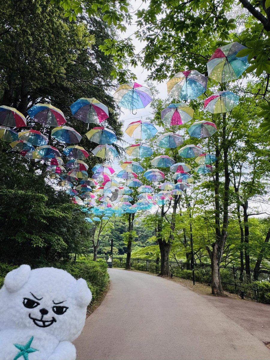 dynam_00349's tweet photo. こんにちはー⸜(*ˊᗜˋ*)⸝

ちょっと前に
ムーミンバレーパークに行ってきました

愛犬マロンちゃんも一緒に

ムーミン谷のアンブレラ☂️
めちゃくちゃ可愛かった

～ちょっと告知～
6月6日 土曜日
DYNAM DYNAM DYNAMですねᕷ
新景品入荷予定です♪(*^^)o∀*∀o(^^*)♪

#ダイナム
#ダイナムのダイキチ https://t.co/zhueIxHBxa
