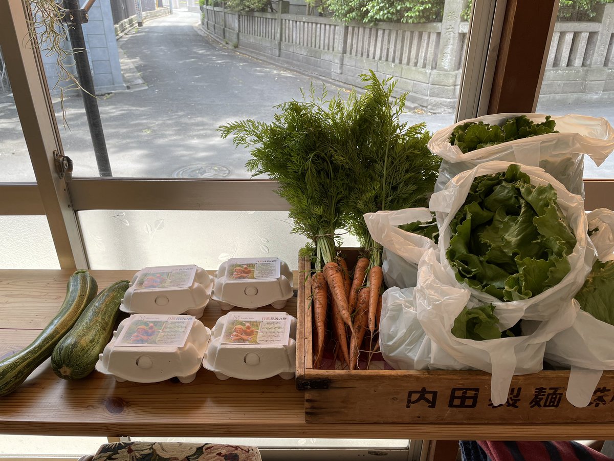 kate_and_soi's tweet photo. 本日の有機野菜。にんじん、レタス、ズッキーニ。🥕🥬
そして卵販売中です🥚
#PeacefulTable https://t.co/WZ4HSpLjmp
