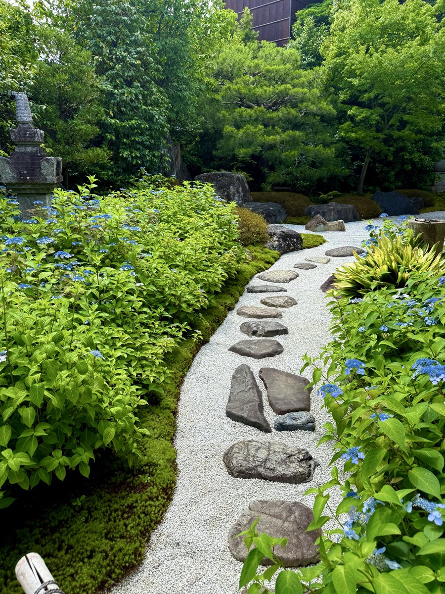 reigenin's tweet photo. 今朝の甘茶　

#霊源院　#建仁寺塔頭霊源院　#甘茶　#特別拝観　#京都 https://t.co/WSAhn7HgOc
