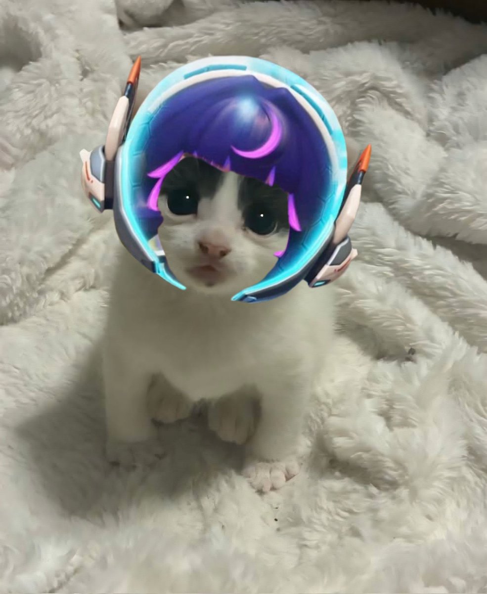 orbitalust's tweet photo. this  is  who  you  are  being  mean  to! https://t.co/5JYUjv6fVb