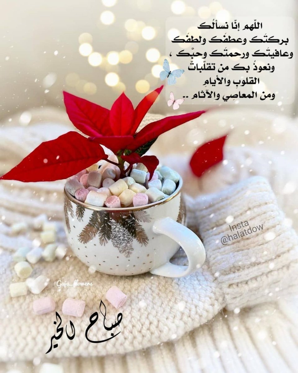 adillll2008's tweet photo. @NawalAlHomoud لا ختام للاعياد مادامت القلوب عامره بذكر الله وفعل الخيرات وصلة الرحم وقضاء حاجات الاخرين  والدعاء للجميع بالخير واليمن والبركات يارب العالمين https://t.co/3xQ61pRM4k