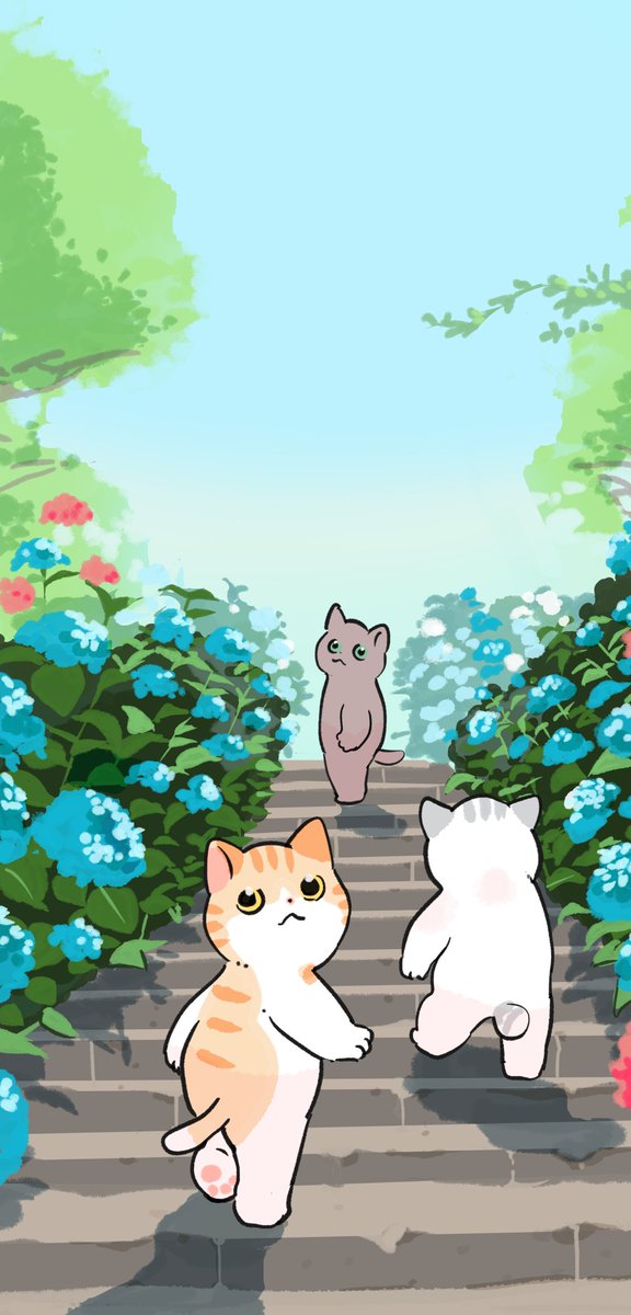 6月の無料壁紙です🐸🐱📅 保存してご利用ください🌸🐟