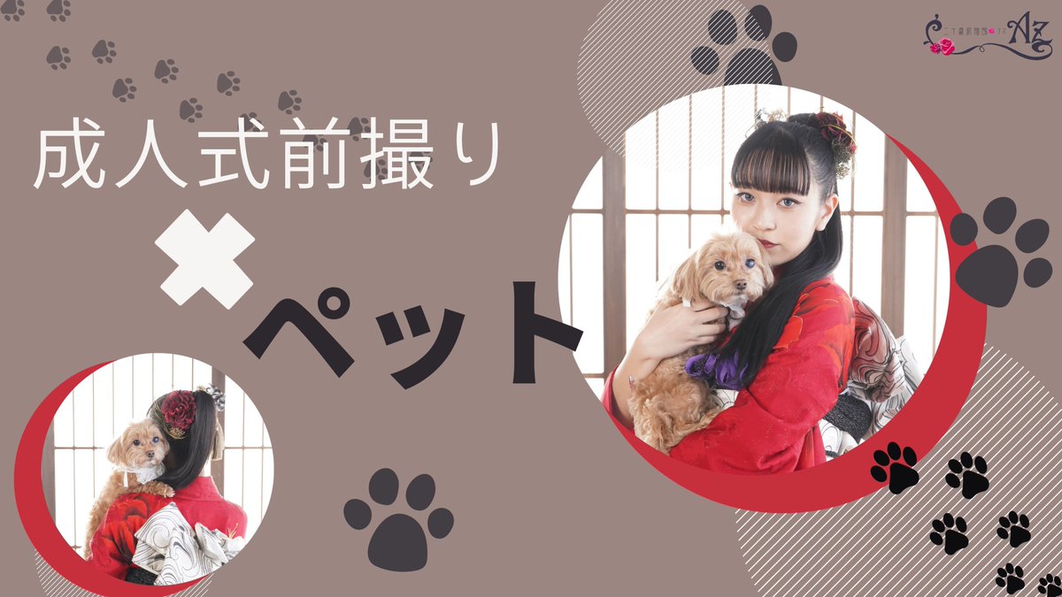 Az20tsukuba's tweet photo. 成人式前撮り✖️ペット🐶🐾
￣￣￣￣￣￣￣￣￣￣￣￣￣￣

二十歳振袖館Azなら、ペットと撮影大歓迎⭕

当日はバタバタして撮れないことも…

前撮りなら、リラックスした雰囲気でカメラ目線のお写真が残せます🐱

さらに、Azなら貸切スタジオだから安心💨

ペットとのおすすめのポーズをHPで掲載中🫶🏻 https://t.co/f7oR572VUK