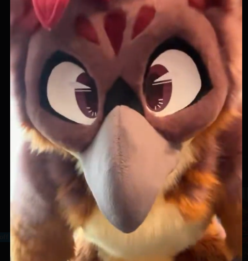 DatBlueHusky tweet picture