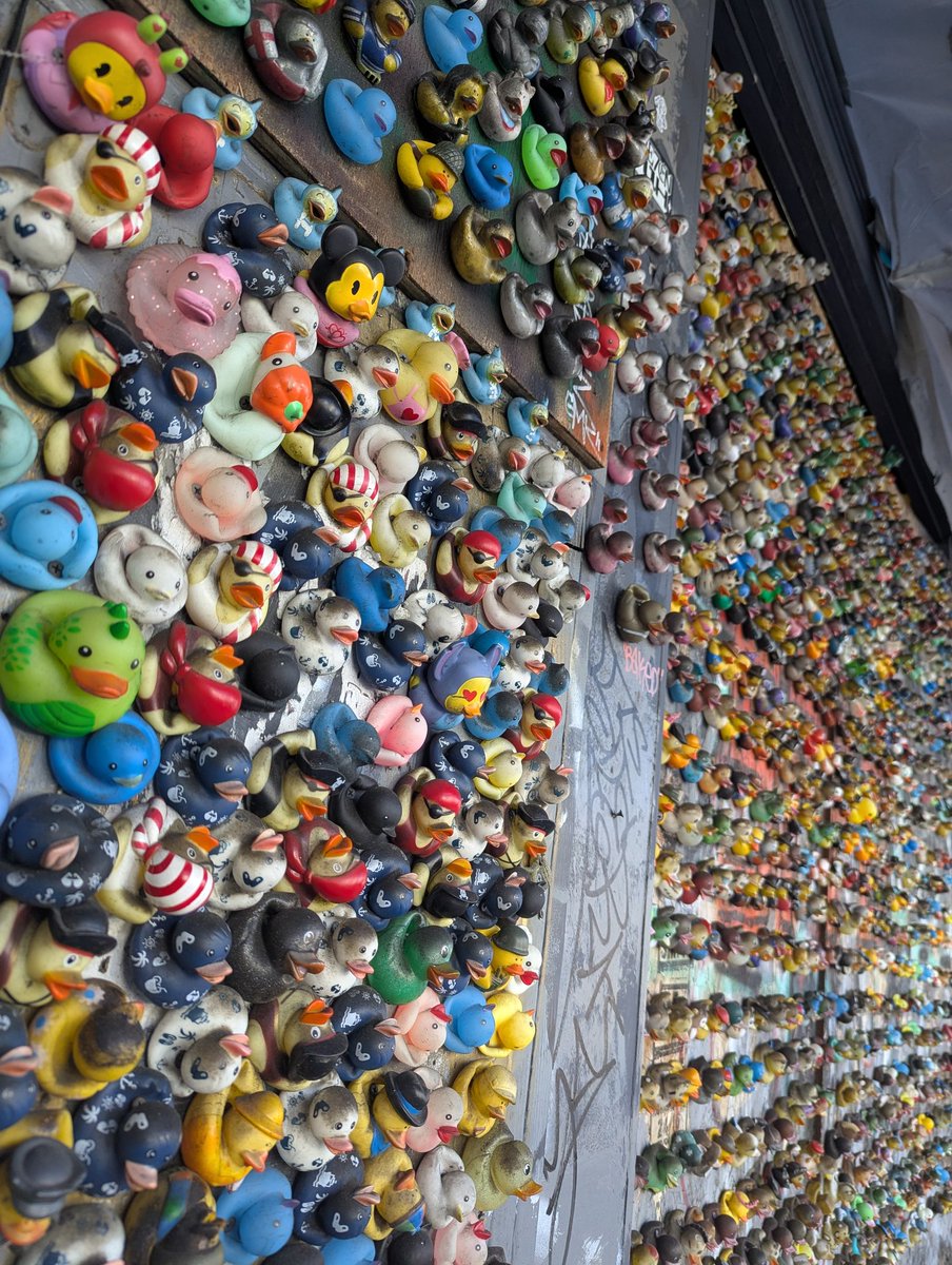 DeeprajPandey's tweet photo. every time someone in the world wishes there was a rubber ducky to help them debug their code, one shows up on this wall spontaneously https://t.co/nBMhl3WVvV