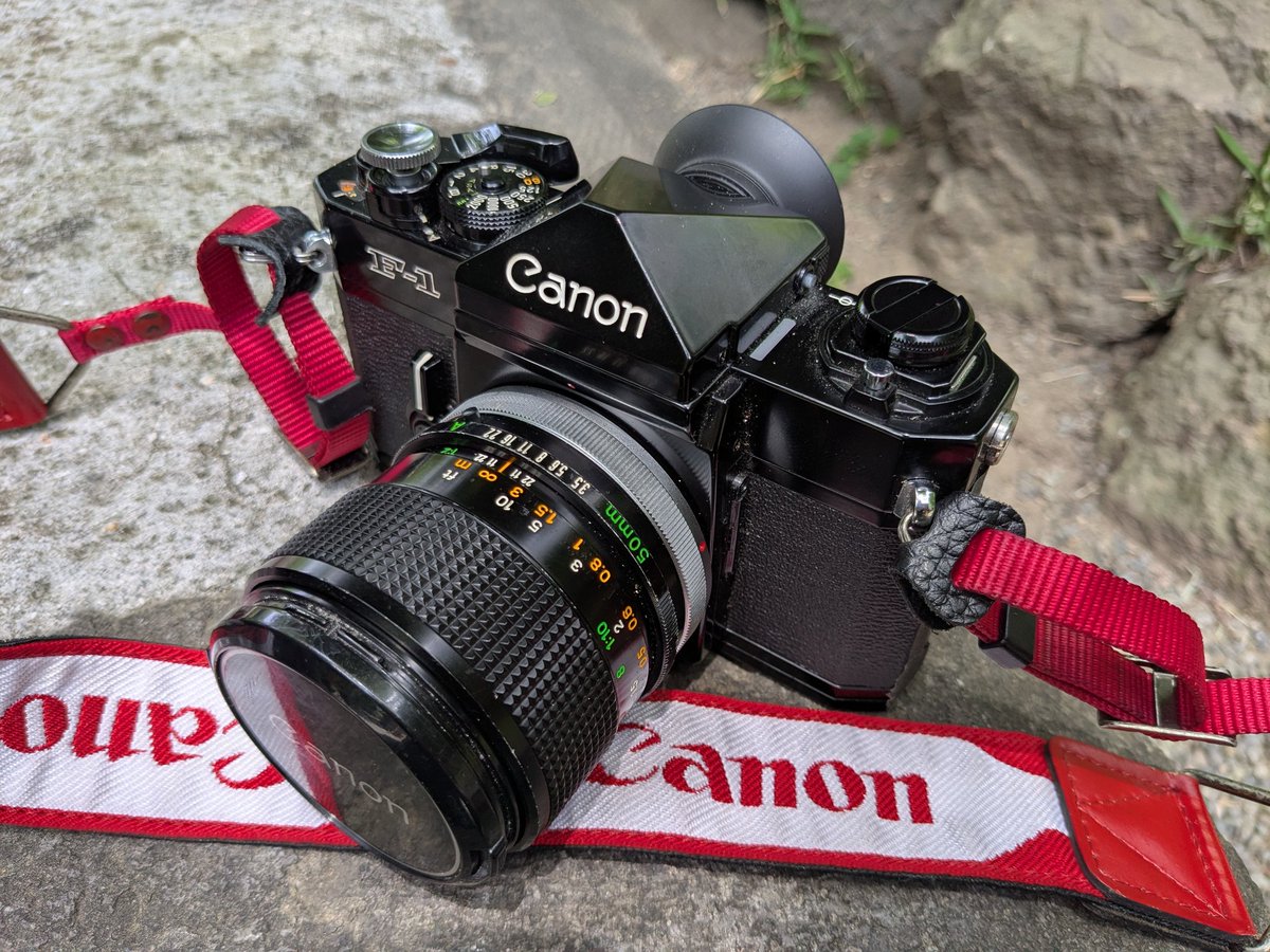 今日もお散歩のお供に持ってきたフィルムカメラはCanon F-1と50mmf3.5