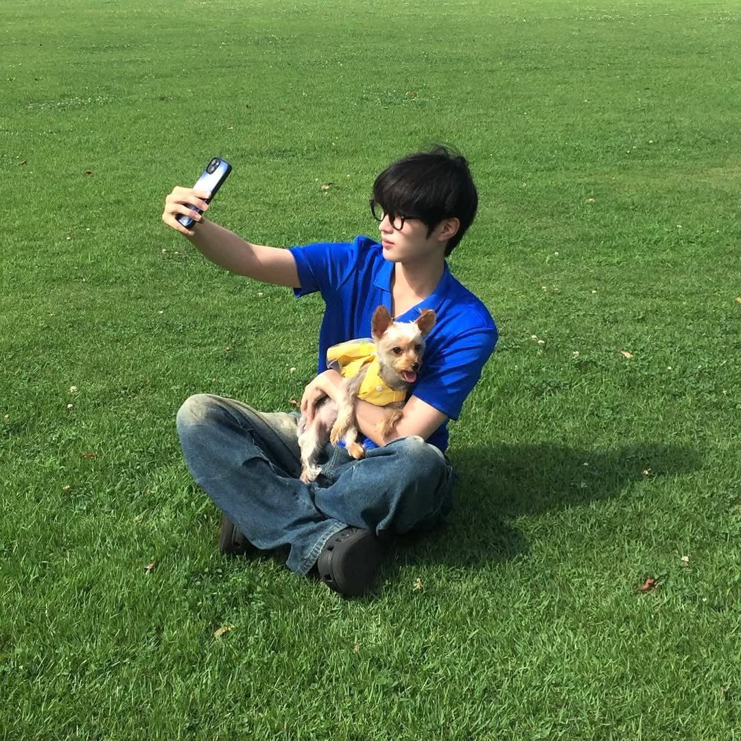 梅 tweet media
