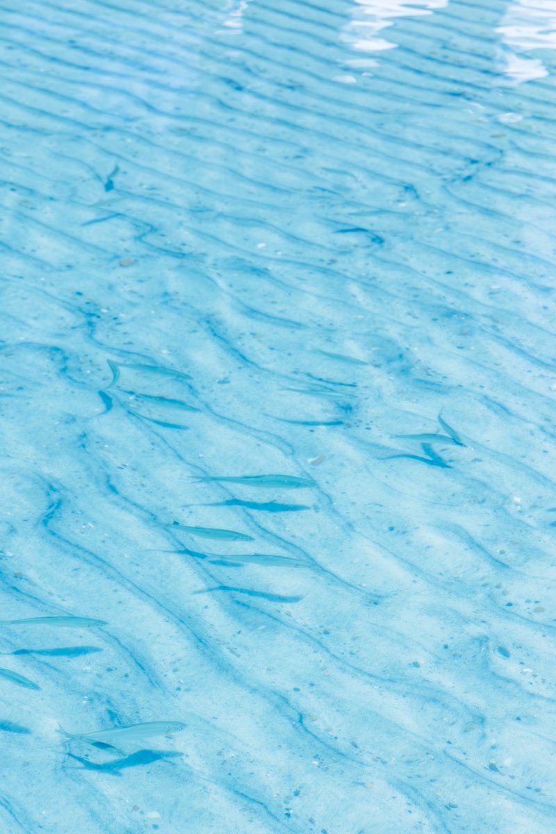 kiki_aquamarine's tweet photo. 暑い日には冷たい水を https://t.co/GApiPqWO5f
