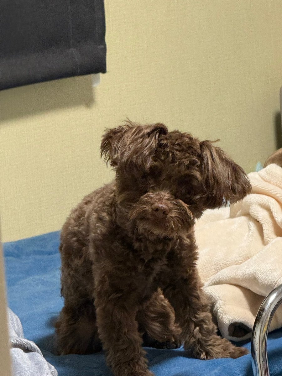 覗いてる？、、、 今日からちょこちゃんの謎写真を載せて行きたいと