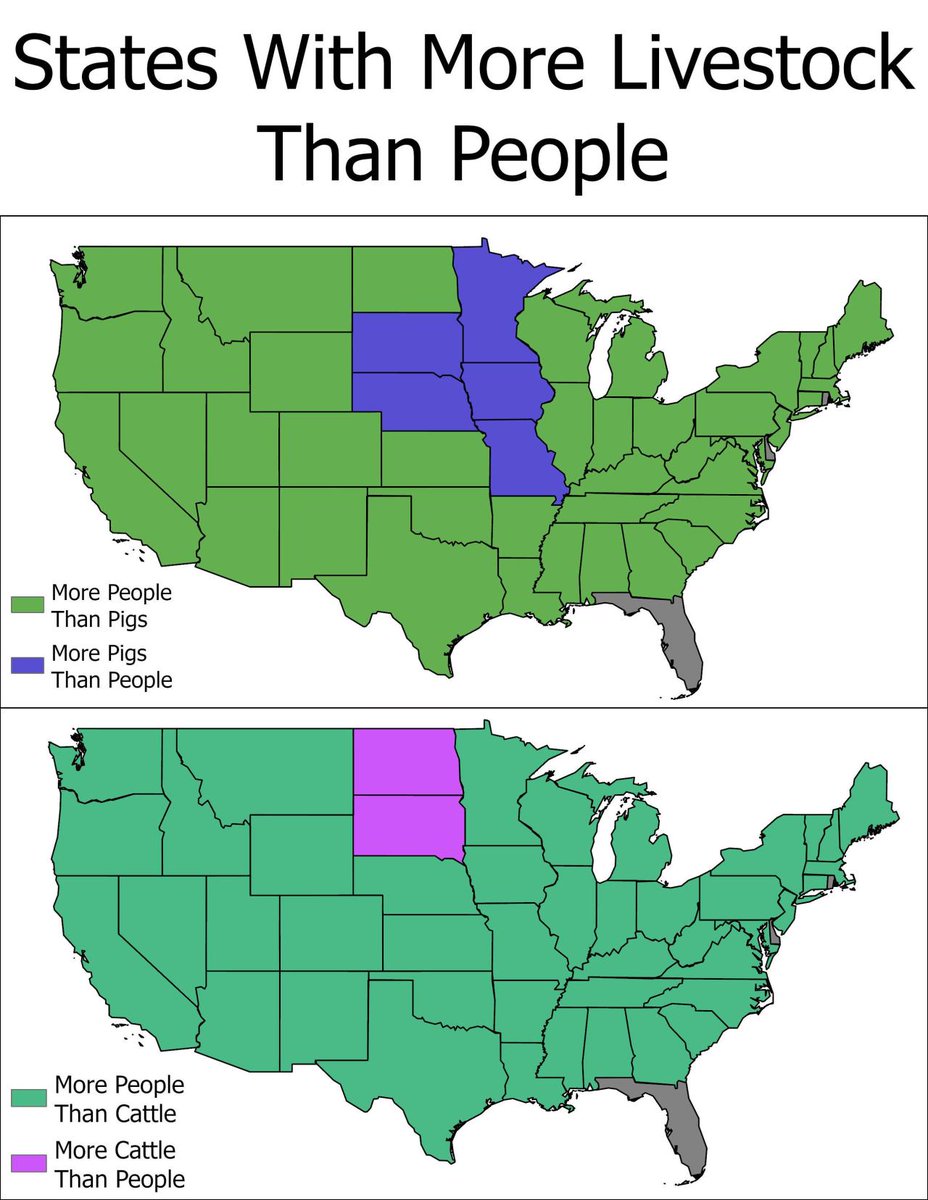 Vintage Maps tweet media