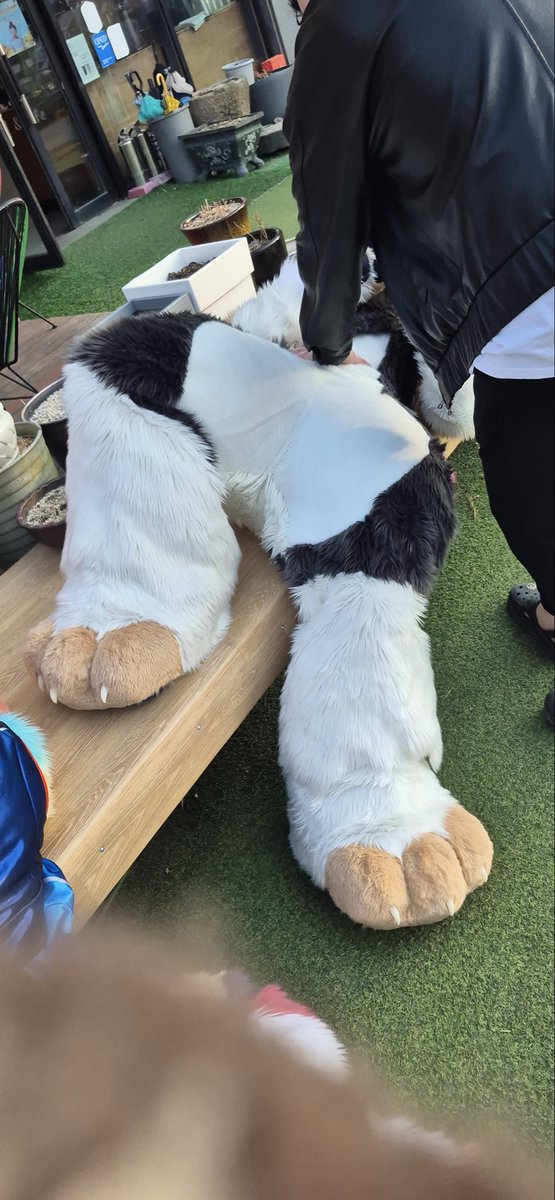 bun_KENNYs's tweet photo. #FursuitEveryday #Furusit 
토끼 주물럭 https://t.co/AQ2ifzAo7r