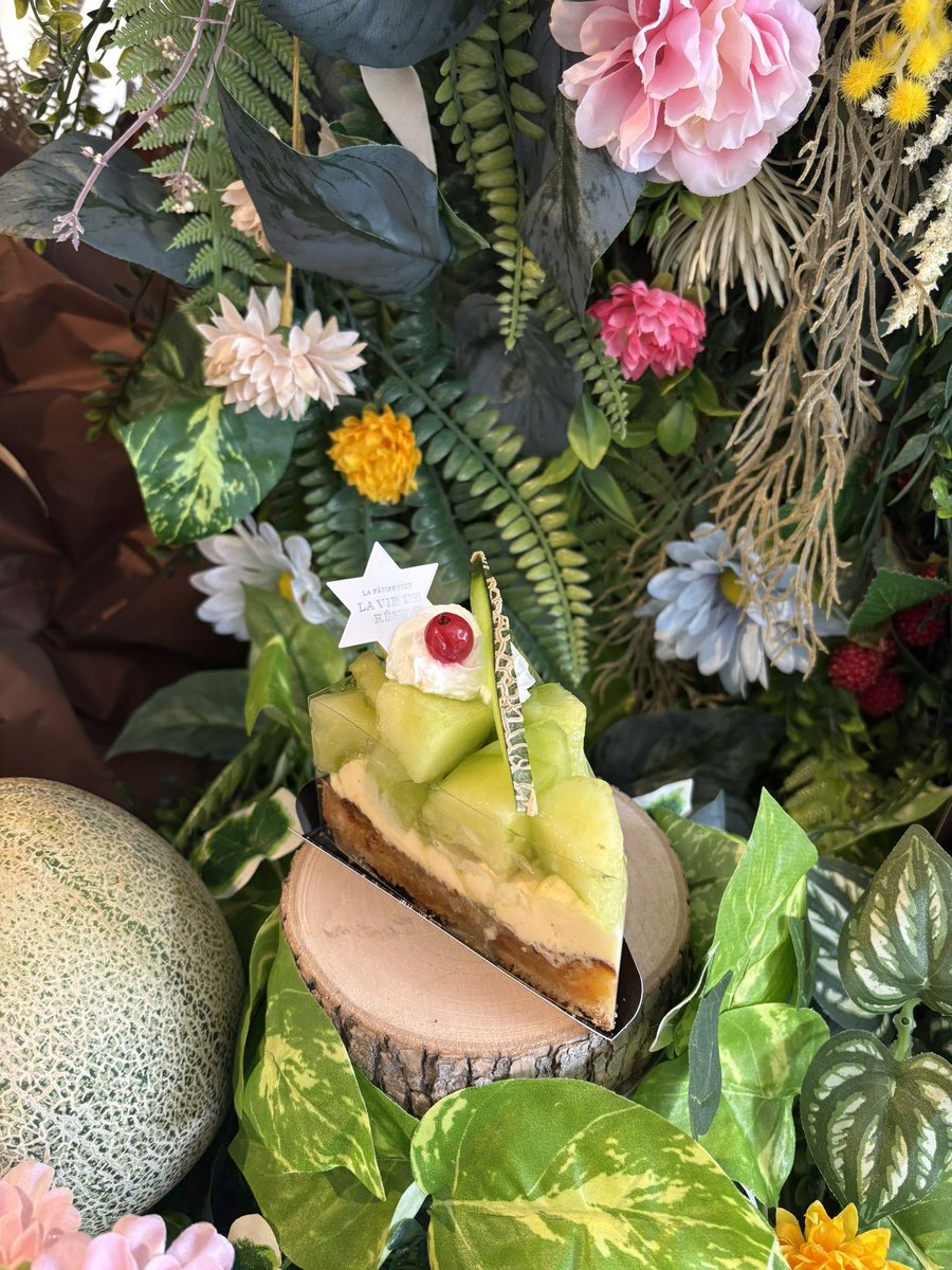 DKitanishi's tweet photo. おはようございます🌞
昨夜の【足立の花火】は無事開催され、また凄く素晴らしい花火で感動しましたね🥺
美味しいメロンが手に入ったので【メロンのタルト】始めました♪
近日中に【メロンのパルフェ】も始まります♪
ラヴィアンレーヴ、ショコラトリーリスで提供予定です♪
今日僕はショコラトリーリスにいますので是非【ガレット】や【パフェ】【かき氷】など召し上がりにきてくださいね♪