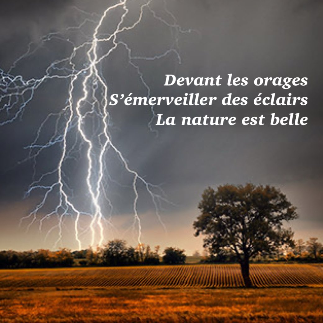 JacquesMercier's tweet photo. Un dimanche heureux de pleine lune ! 
[#haiku, #amour, #ligue_des_optimistes, #poésie] https://t.co/gzcB7txwwW