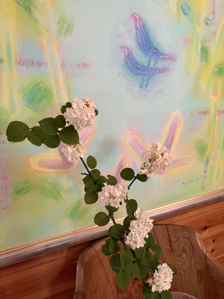 0422Kay's tweet photo. はす向かいのお家のかわいいカモミールと、三軒先のお家の野生のマーガレット🌼お花いっぱいの季節🌿小鳥の絵は全て父の作品🖼️ https://t.co/FdaZE4ZaQu