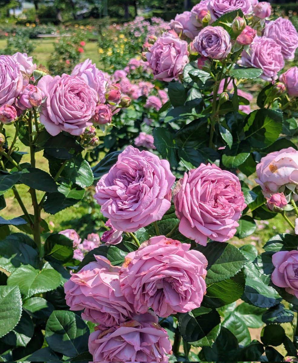 toumeir1's tweet photo. ⋯ https://t.co/VIrodwpQaI