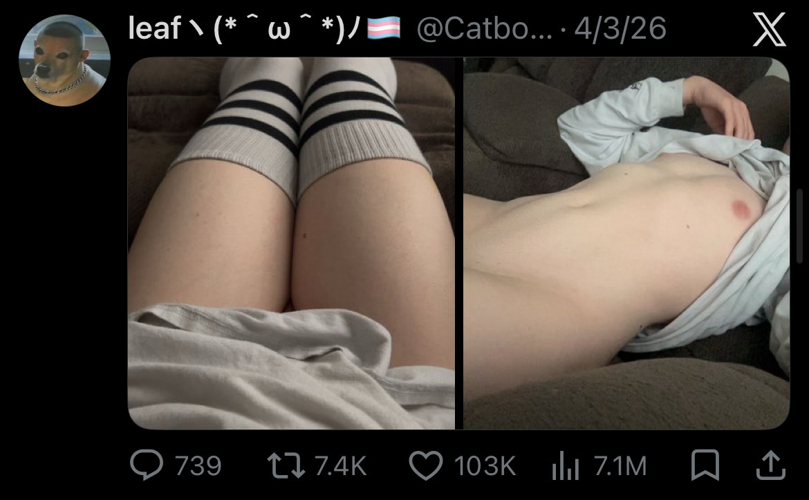 leafヽ(*^ω^*)ノ🏳️⚧️ tweet media