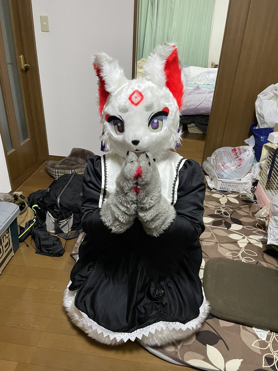 麗狐 tweet media