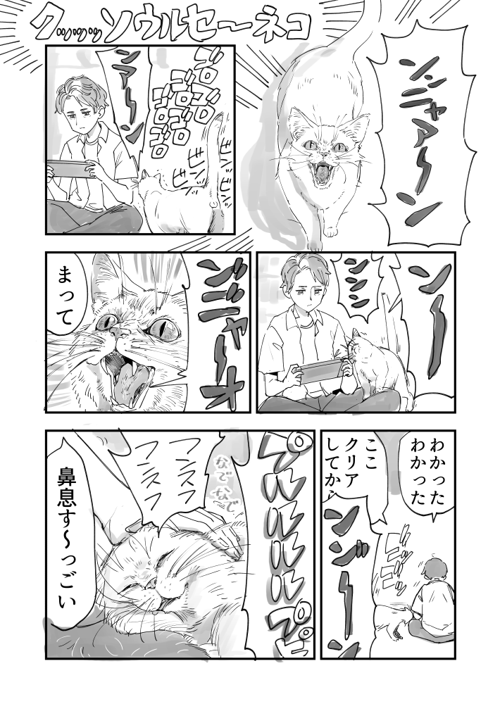 かまぼこRED☺︎ tweet media