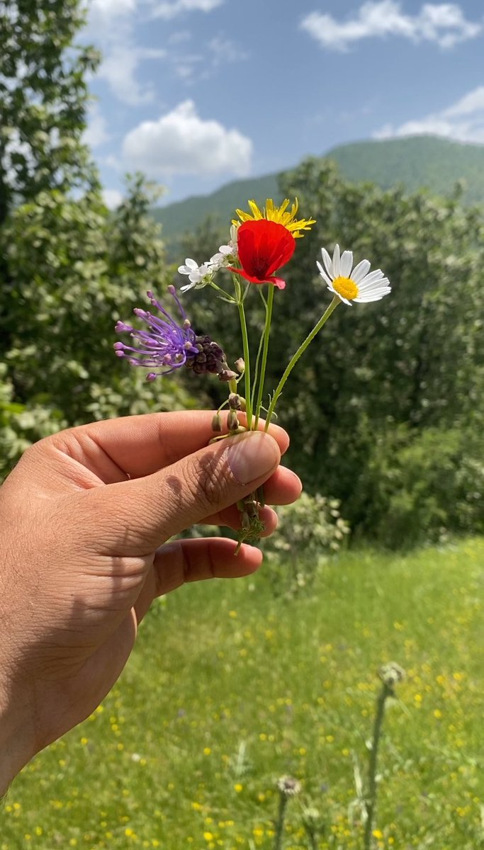 Filitqutoo's tweet photo. Rojbaş bo te 🌻 https://t.co/uCbaPbrcpC