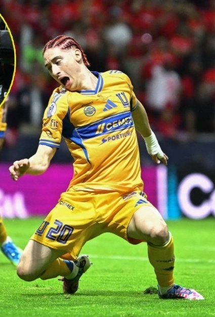 el primero y más campeón de nuevo león tweet media
