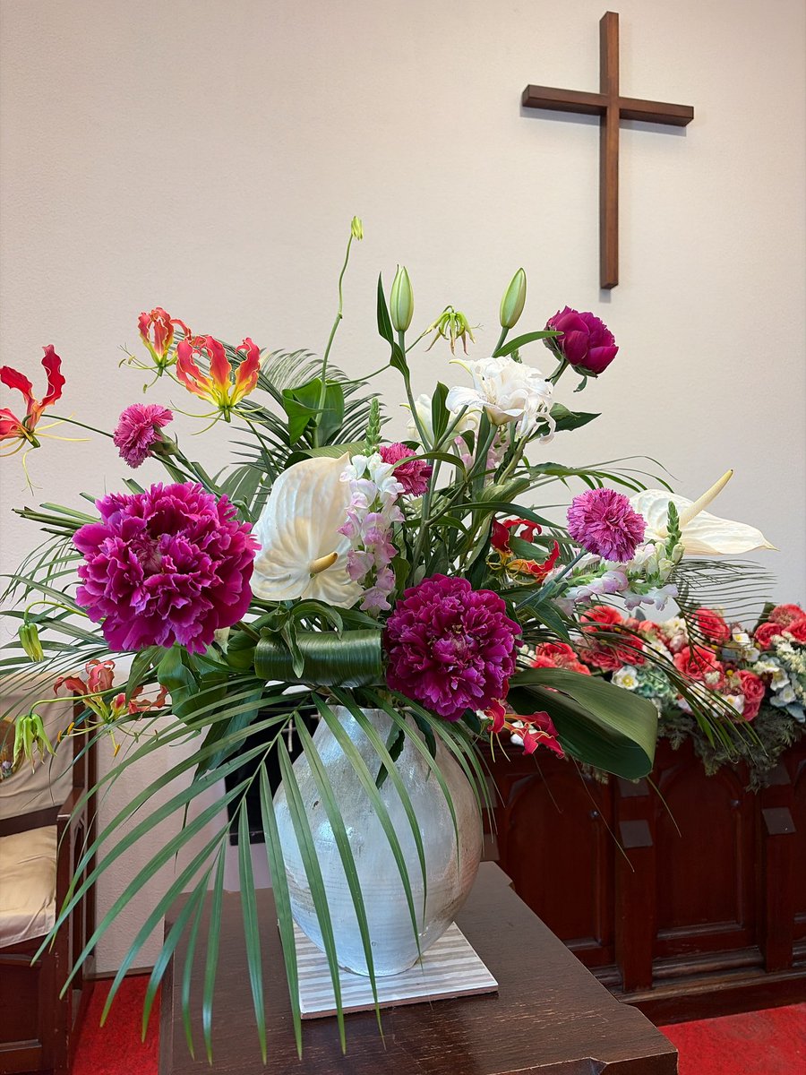 ngo_chuochurch's tweet photo. #今日のお花 https://t.co/mvJS1UNNAK