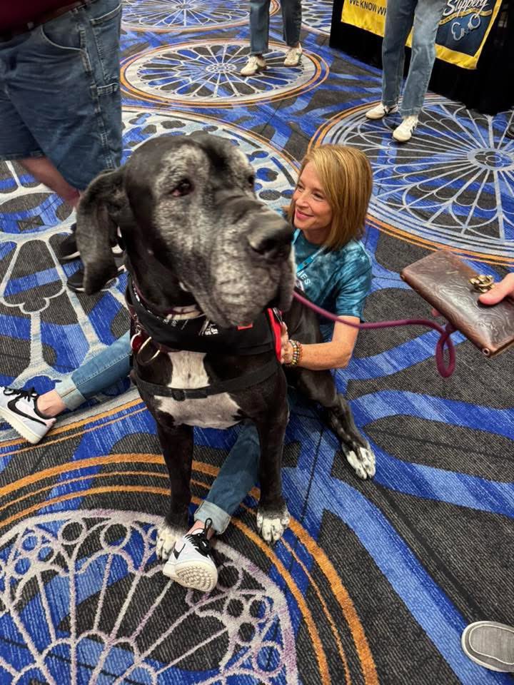 PrettyLiesAlibi's tweet photo. This dog sat on me and wouldn’t get up 😂 I guess he sensed Gigi needed a little pet Therapy https://t.co/MppDSh0wzZ