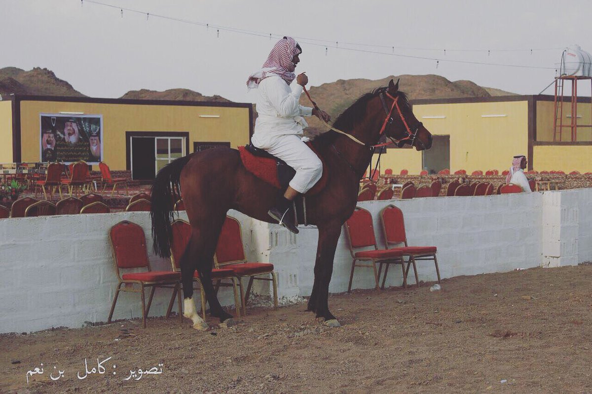 Alamabs404's tweet photo. #مربط_علم_عبس
#فالح_اديهم_القلادي https://t.co/1PJ5q2JKYz