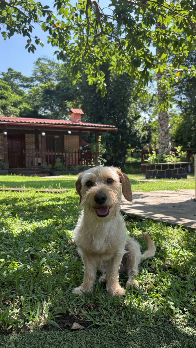 zoecastlee's tweet photo. Díganme si no tiene la carita más adorable del planeta🥹 https://t.co/l50h4OS6HO