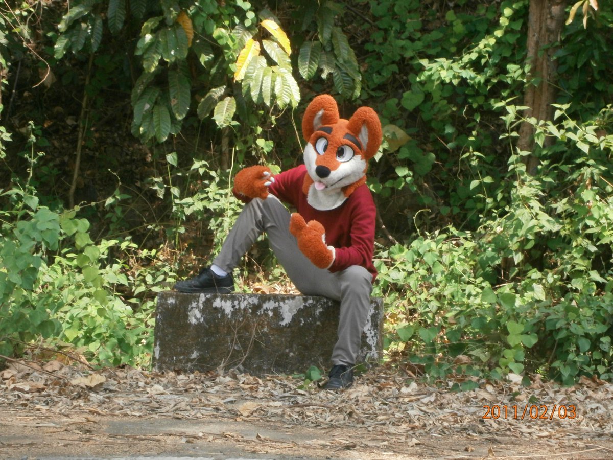 HeliotropeBouq8's tweet photo. Hi Im the first fursuiter in Bataan and will be your travel guide please make sure to retweet this for other locals to see https://t.co/LaHFysUopv