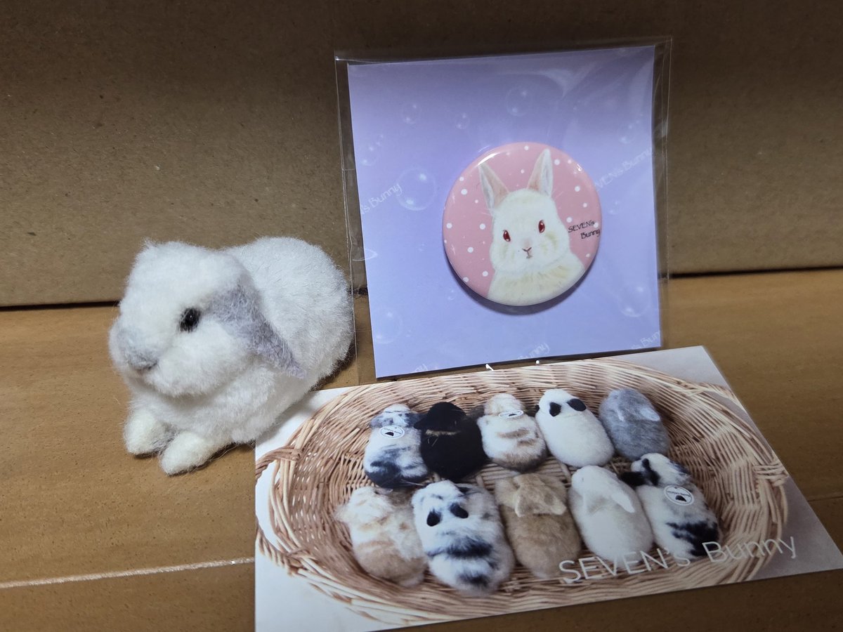 sevensbunny 勝ち申しました〜👏