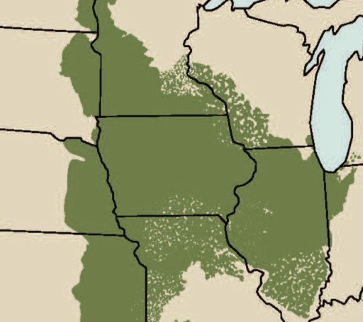 ObservantAus's tweet photo. Iowa was placed on God’s green earth for the sole purpose of being a corn field https://t.co/7Og3q58bSy