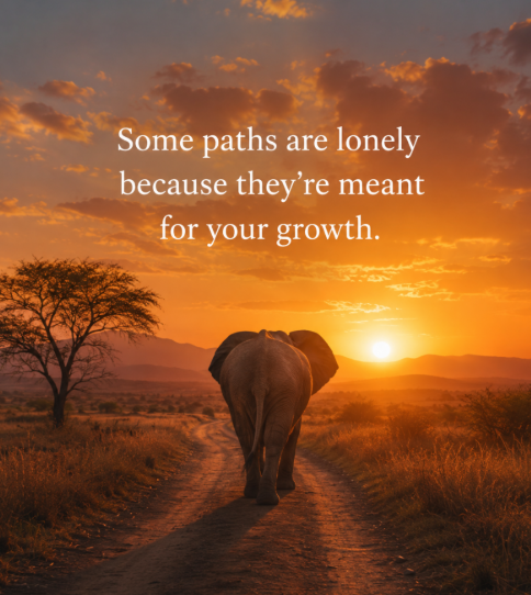 Driven Thoughts tweet media
