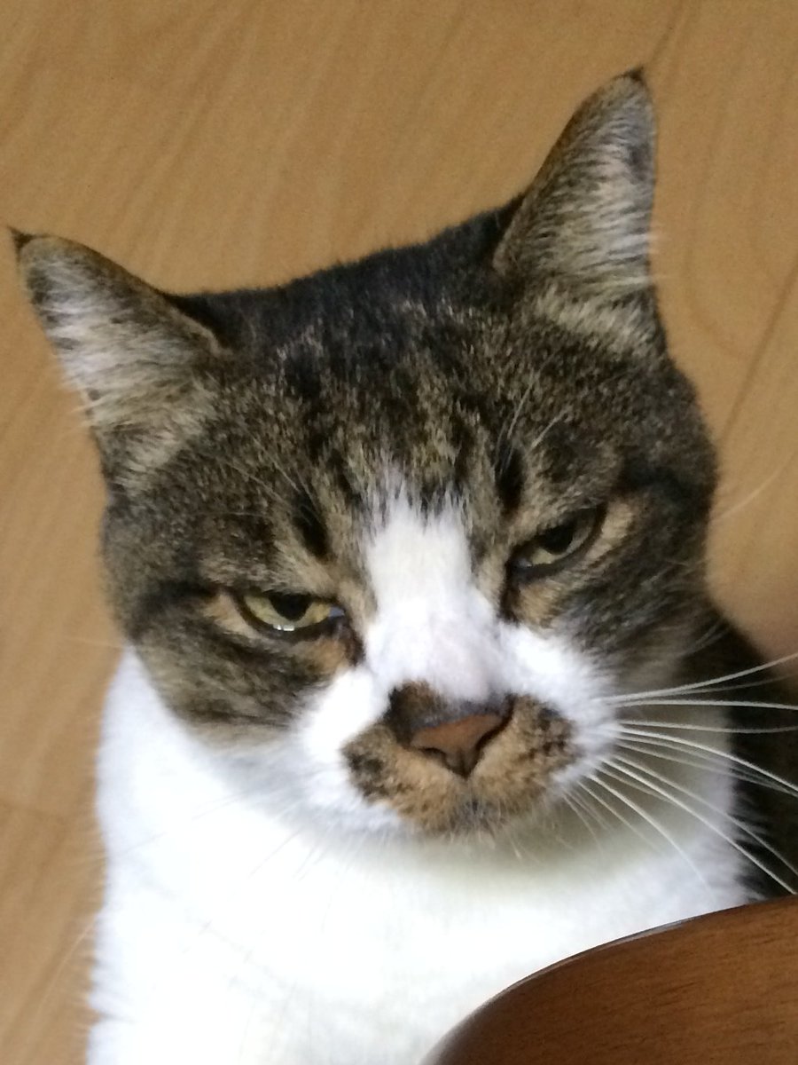 boulder_natsu's tweet photo. @mkbr_bgn https://t.co/G8ASnd1RyE