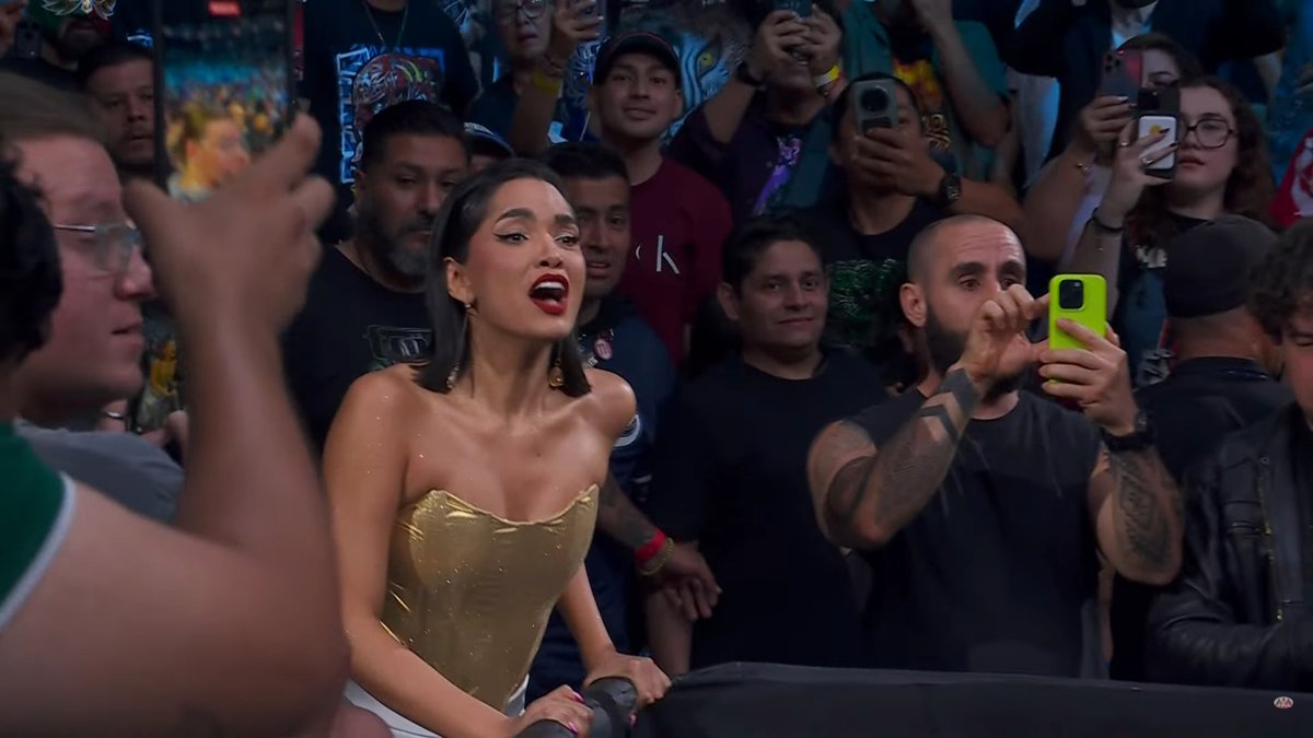 LuigiWrestling tweet media