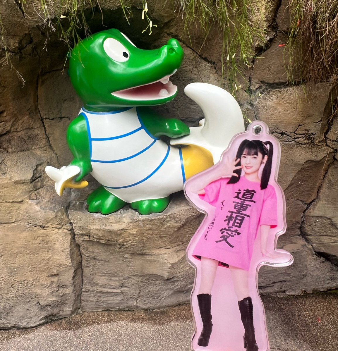 Syaruru_14's tweet photo. いろいろ🐰🐊🐟🍌
#おでかけさゆみん https://t.co/1phBLxElrW
