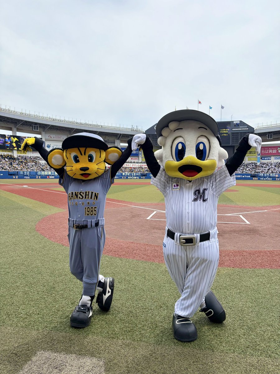 マーくん(千葉ロッテマリーンズ) tweet media