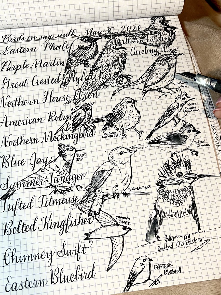 JoanBandy's tweet photo. Birds sketched from the songs heard with Merlin app on my evening walk at home tonight. Some of these, I HAVE to see in person. #birds #nature #calligraphy #therapy #meditation #walk #merlinapp https://t.co/7IF6EpkTIe