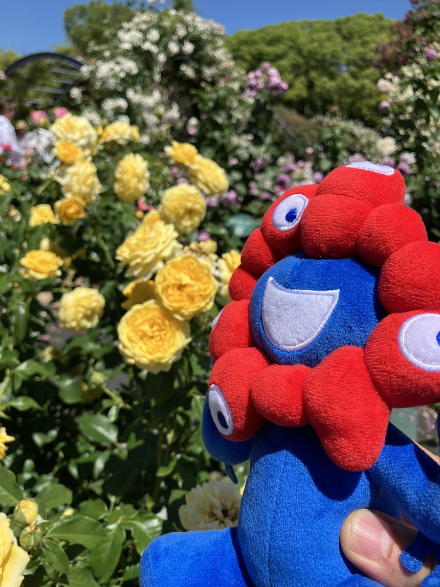 letsgoOHSHO's tweet photo. やっほー！
昨日は太陽の塔先輩に会いに行って来たよ！凄く大きな背中だったよ！ https://t.co/XDThHQHw07
