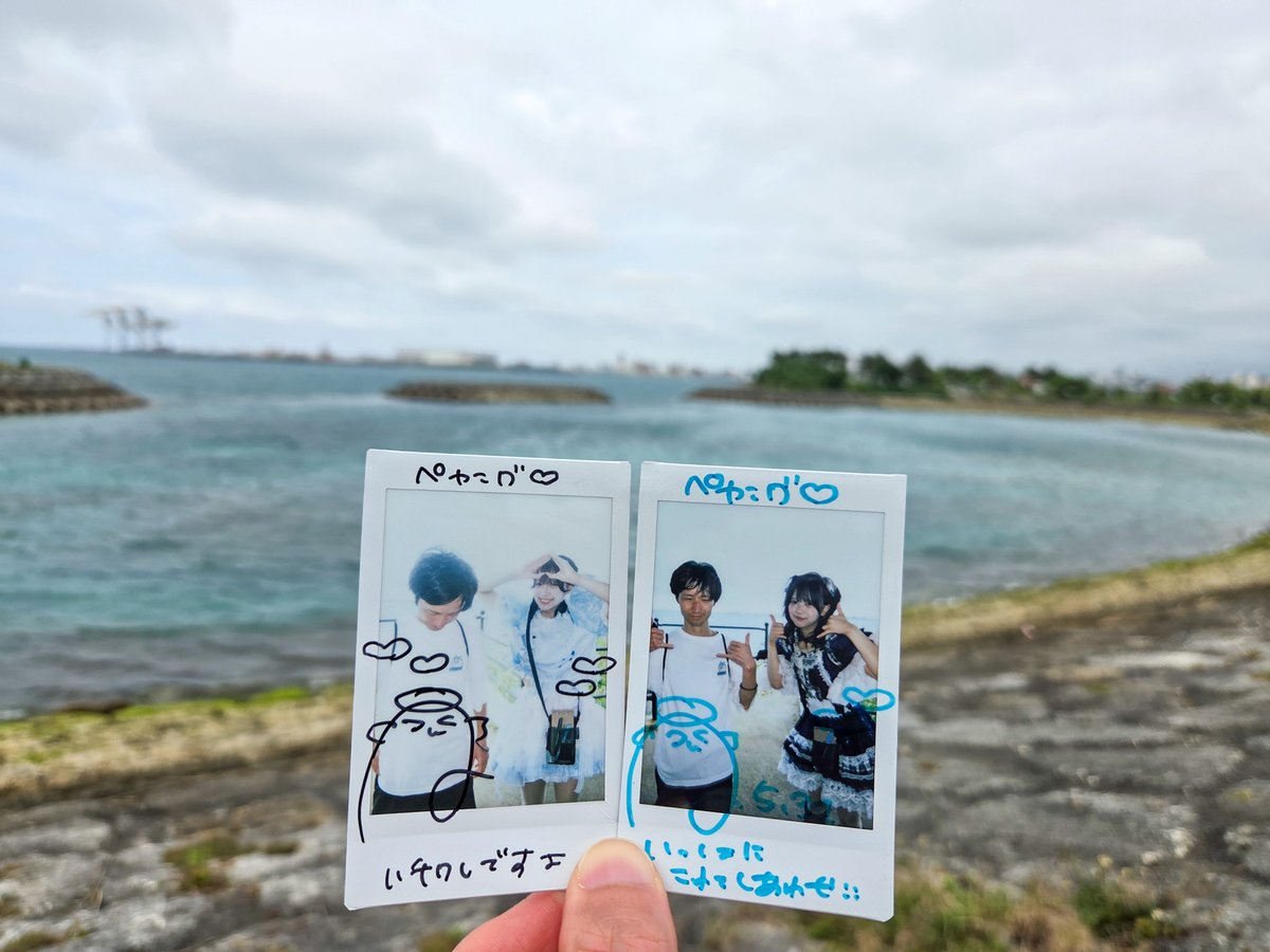 ぺやんぐ tweet media