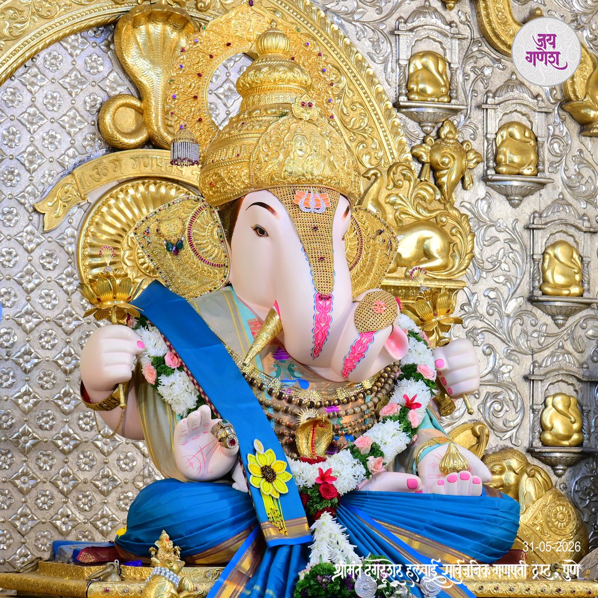 DagdushethG's tweet photo. गणपती बाप्पा मोरया
मंगलमूर्ती मोरया...🙏🏻
.
.
.
.
.
.
.
.
.
#shrimant #dagdusheth #ganpati  #shrimantdagdushethhalwaiganpati #dagdushethhalwaiganpati https://t.co/tgAmYzkOH6