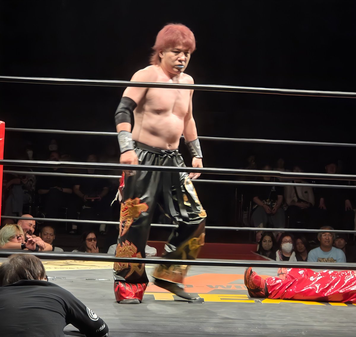 gravitystorm777's tweet photo. 伊織選手かっけー

#ateam_wew
#新木場1string https://t.co/eKrMrSmqOa