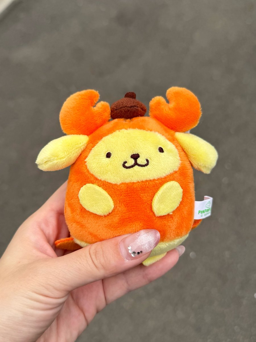 reperepe51's tweet photo. カニプリンさん🦀🍮 https://t.co/Henk7X9Soi